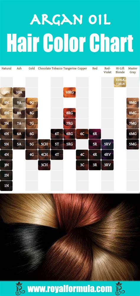 argan one n only hair color|argan hair color chart.